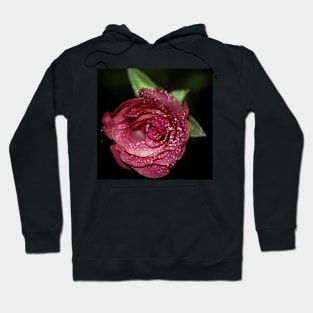 Pink rose with water dew. Hoodie